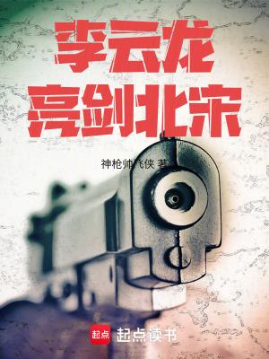 李云龙亮剑北宋免费阅读 在线